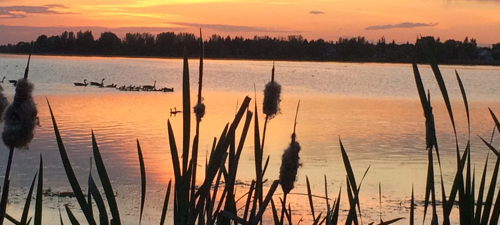Bonnyville Jessie Lake 1600x720 Bonnyville Jessie Lake 1600x720